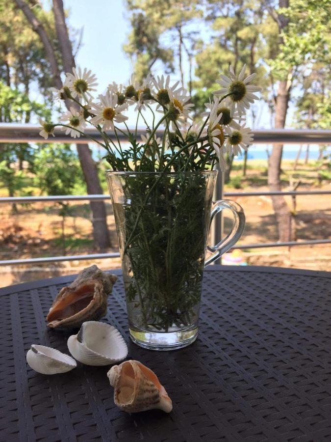 Beachfront Apartments ,,Kapro-One,, 우레키 외부 사진