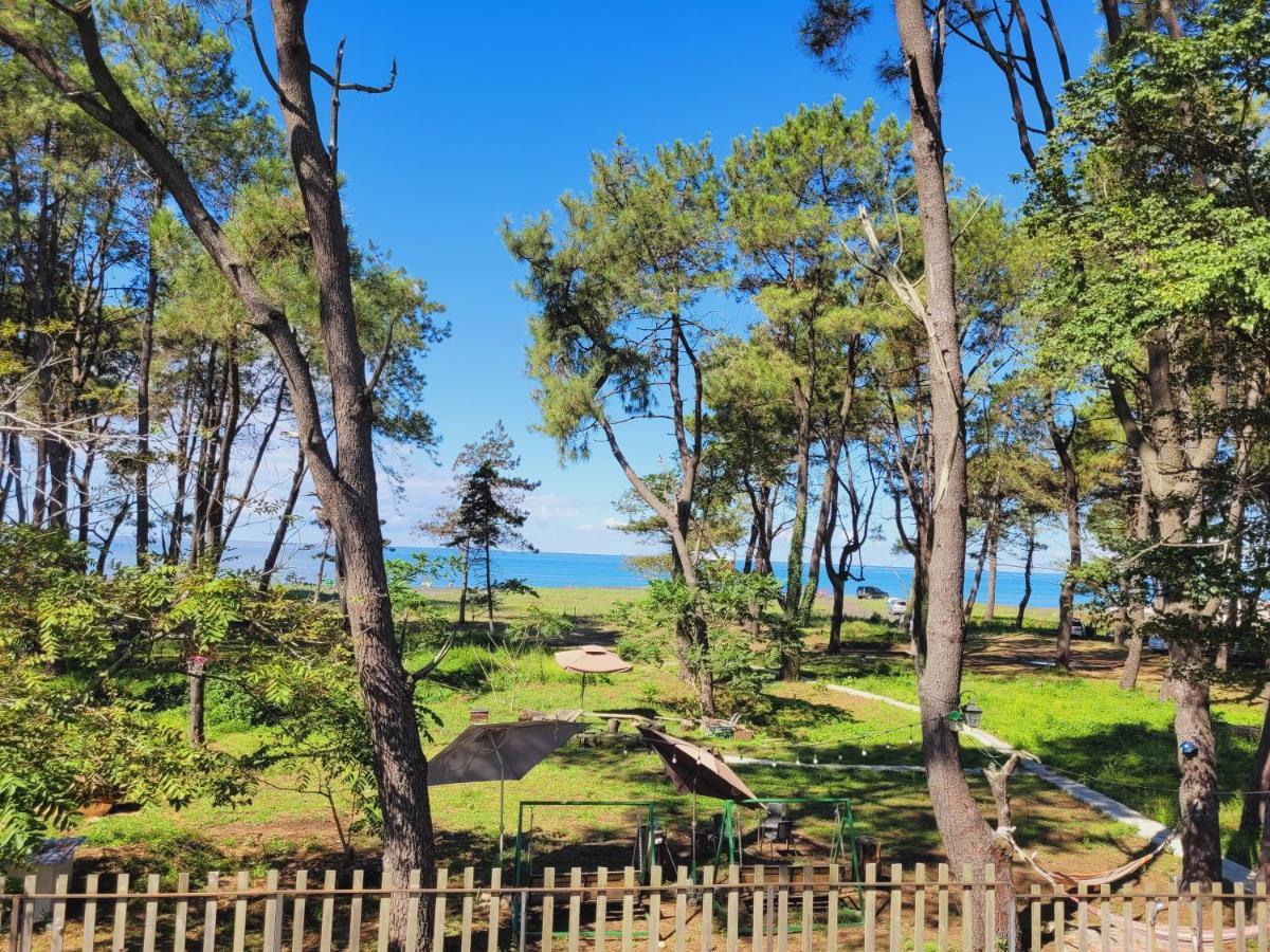 Beachfront Apartments ,,Kapro-One,, 우레키 외부 사진